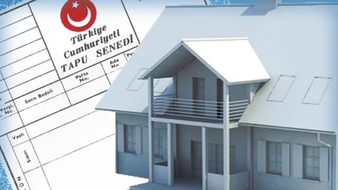 Alo 181'e İlgi Yükseliyor