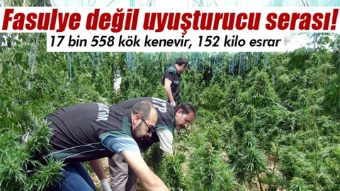 Mersin'de 152 Kilo Esrar Yakalandı