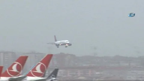 Atatürk Havalimanı'nda Kuş Tehdidi