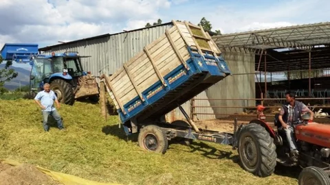 Ödemiş Ovası'nda Arpa Silajı Sezonu Başladı
