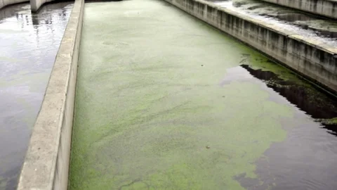 Yalova'da Atık Su Projesi