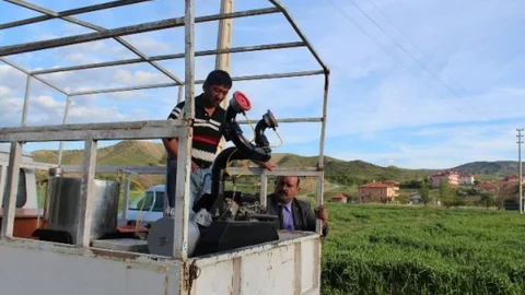 Sungurlu'da İlaçlama Faaliyetleri Süreklilik Arz Ediyor