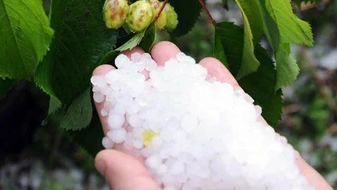 Mersin'de Şiddetli Dolu Yağışı Etkili Oldu
