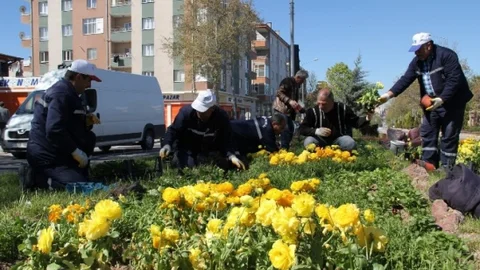 Nevşehir'de Yeşil Alan Düzenlemeleri