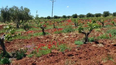 Kilis'te Üzüm Üreticileriyle Buluşma