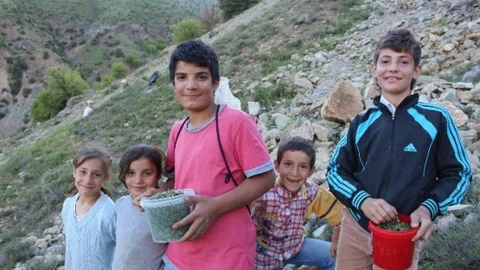 Kozluk'ta Kekik Satışıyla Harçlık Kazanıyorlar