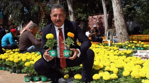 Mersin'de Anneler Günü Kutlaması