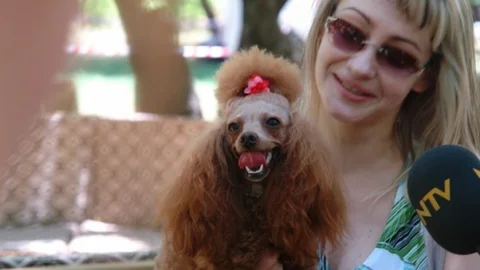 Marmaris'te Köpek Güzellik Yarışması