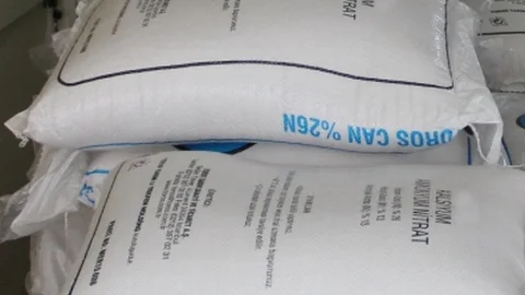 Ordu'da Fındıkta İkinci Gübre Dönemi Başladı