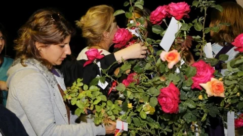 Mezitli'de Hıdrellez Şenliği Yapıldı