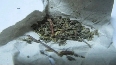 Düzce'de Uyuşturucu Operasyonu