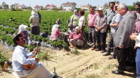 Mersin'de Ozanla Sazlı Nasihat