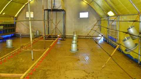 Kocaeli Gebze'de Kuş Gribi Şüphesi Artıyor