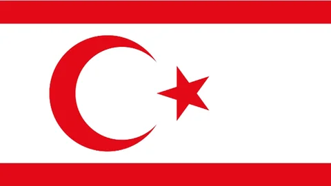 KKTC'de Başbakan Yardımcısı İstifa Etti