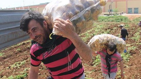 Patates Fiyatları Yükseldi