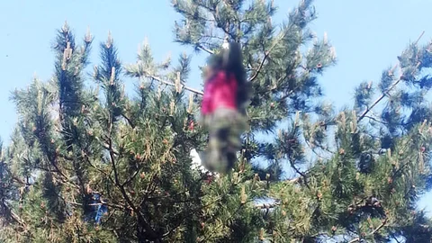 Bursa'da Ormanlık Alanda Kadın Cesedi Bulundu