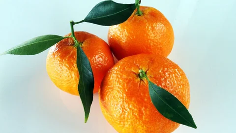 Adana'da Dolu Zararı Yaşandı