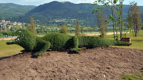 Bursa'da Timsah Figürü Heyecanı
