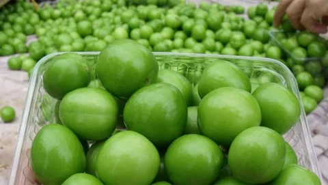 Eriklerin Sağlık Üzerindeki Faydaları