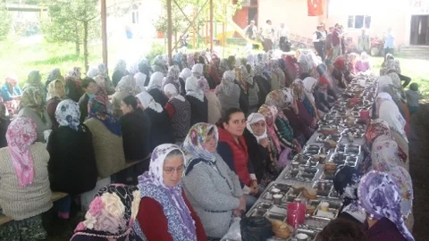 Niksar'da Hıdırellez Coşkusu