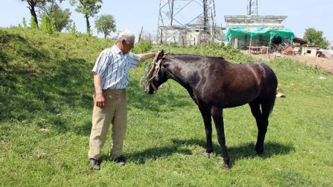 Edirne'de At Çobanı Göreve Başladı