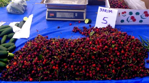 Bilecik'te İlk Yerli Kiraz Tezgahlarda