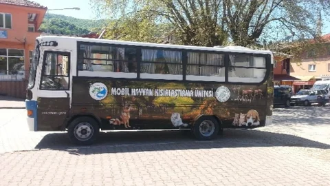 Bartın'da Sokak Hayvanları Kısırlaştırıldı