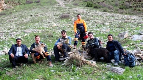 Çatak'ta Mahsur Kalan Keçiler Kurtarıldı