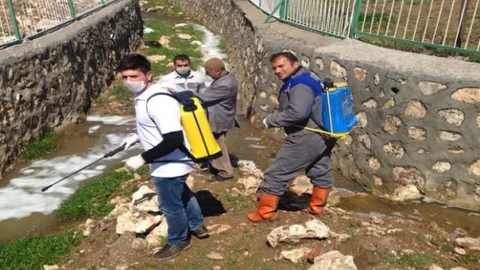 Kurtalan'da Sivrisinek Mücadelesi