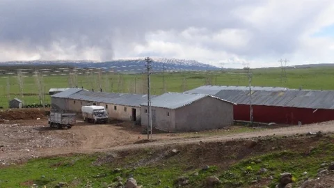 Karlıova'da Hayvan Barınakları Tepki Topladı