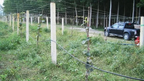 Bireysel Sulama Ekipmanları İçin Hibe Desteği