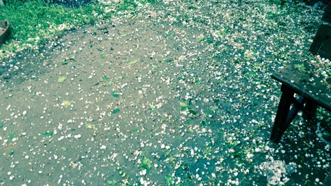 Tokat'ta Dolu Felaketi Yaşandı