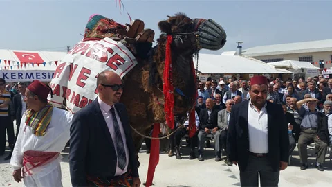 Bolu'da Açık Artırmada Deve Satışı