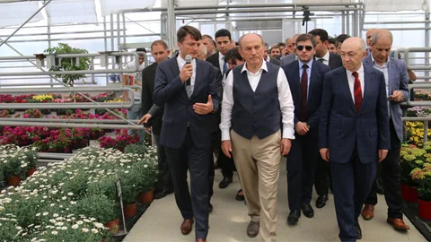 İstanbul'da Çiçek Üretimi İçin Yenilikçi Proje