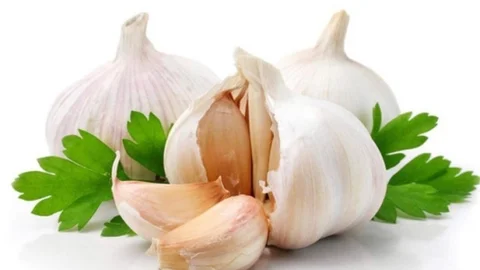 Ayak Mantarı İçin Sarımsak Önerisi