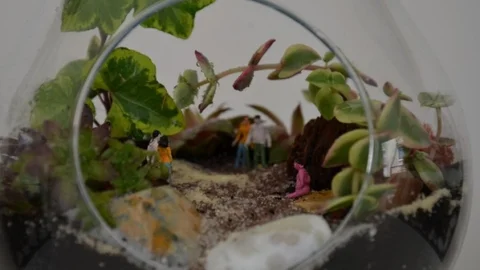 Bursa'da Teraryum Sanatı