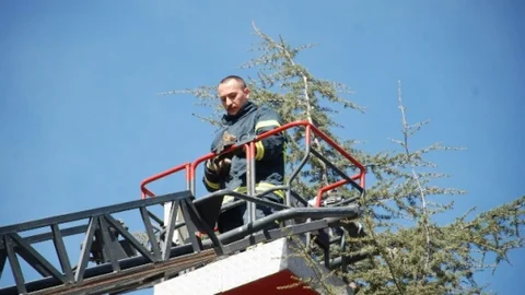 Tokat'ta Kedi Kurtarma Başarısı
