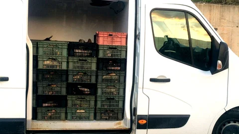 Çorum'da Kaçak Avcılara Operasyon