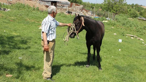 Edirne'de Çoban Değişikliği Oldu