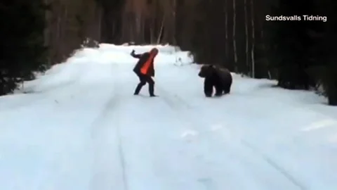 Ayı Korkutup Kaçırdı!