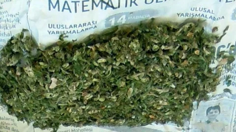 Uyuşturucu Partisi Ula'da Yakalandı