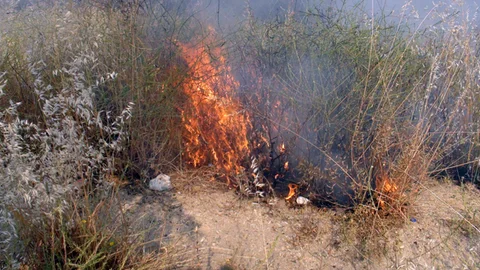 Şanlıurfa'da Anız Yangını Paniği