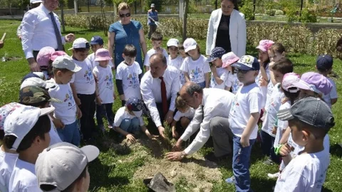 Pamukkale'de Fidan Dikimi Etkinliği