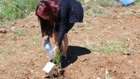 Kale'de Hatıra Ormanı Kuruldu