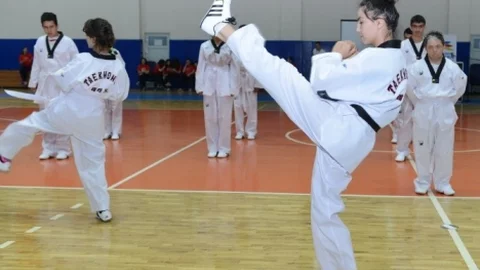 Nilüfer'de Özel Eğitim Şenliği