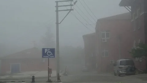 Zonguldak'ta Yoğun Sis Etkili Oldu
