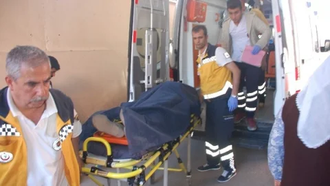 Adıyaman'da Ağaçtan Düşme Olayı