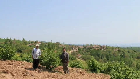 Bursa Yenişehir'de Fındık İhracı