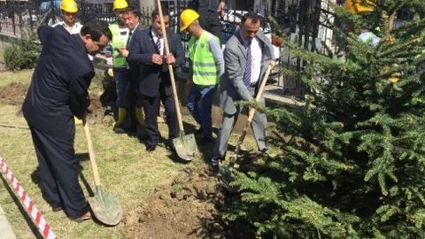 Ünye'de Yeşil Proje Uygulandı