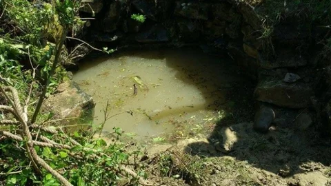 Çaycuma'da İnek Kurtarıldı